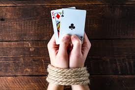 Вход на зеркало DBbet Casino